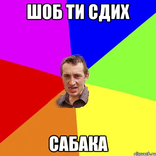 шоб ти сдих сабака, Мем Чоткий паца