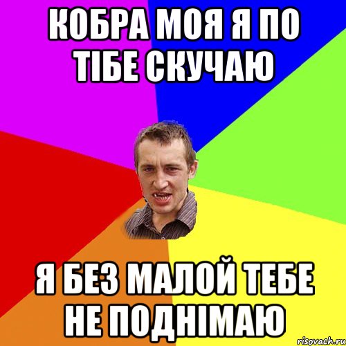 Кобра моя я по тібе скучаю Я без малой тебе не поднімаю, Мем Чоткий паца