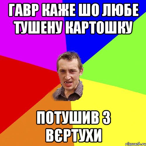 Гавр каже шо любе тушену картошку потушив з вєртухи, Мем Чоткий паца