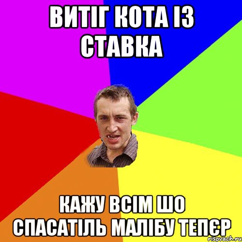 Витіг кота із ставка Кажу всім шо спасатіль малібу тепєр, Мем Чоткий паца