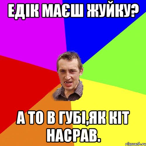 Едік маєш жуйку? А то в губі,як кіт насрав., Мем Чоткий паца