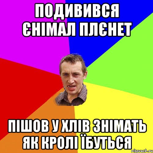 подивився єнімал плєнет пішов у хлів знімать як кролі їбуться, Мем Чоткий паца