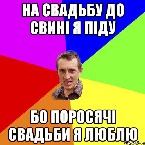 На свадьбу до свині я піду бо поросячі свадьби я люблю, Мем Чоткий паца