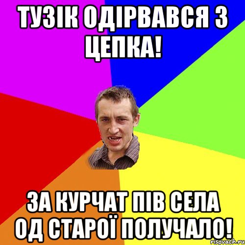 Тузік одірвався з цепка! За курчат пів села од старої получало!, Мем Чоткий паца