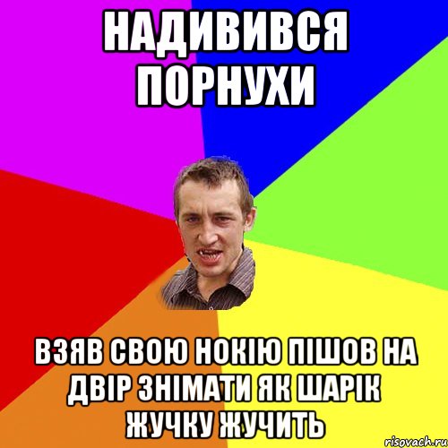 надивився порнухи взяв свою нокію пішов на двір знімати як шарік жучку жучить, Мем Чоткий паца