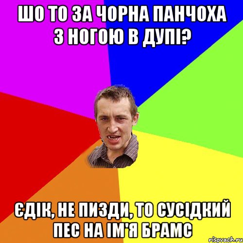 Шо то за чорна панчоха з ногою в дупі? Єдік, не пизди, то сусідкий пес на ім'я Брамс, Мем Чоткий паца