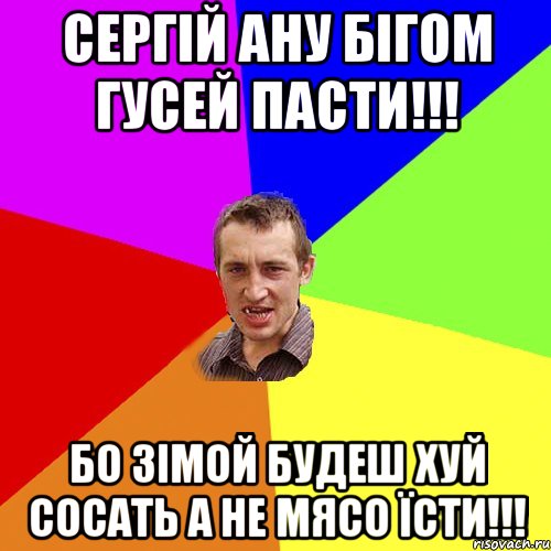 сергій ану бігом гусей пасти!!! Бо зімой будеш хуй сосать а не мясо їсти!!!, Мем Чоткий паца