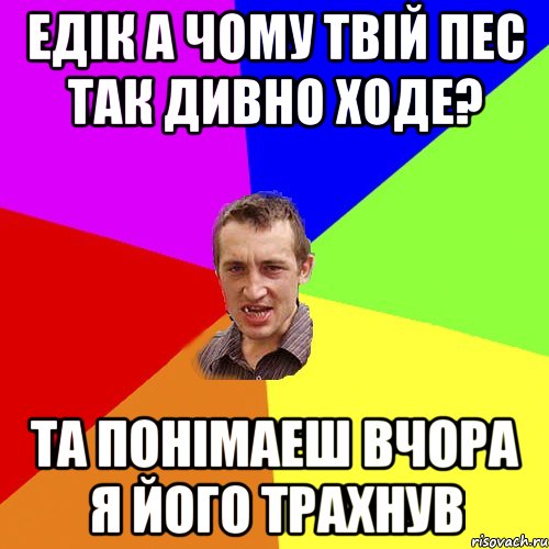 Едік а чому твій пес так дивно ходе? Та понімаеш вчора я його трахнув, Мем Чоткий паца