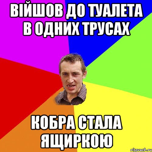 війшов до туалета в одних трусах кобра стала ящиркою