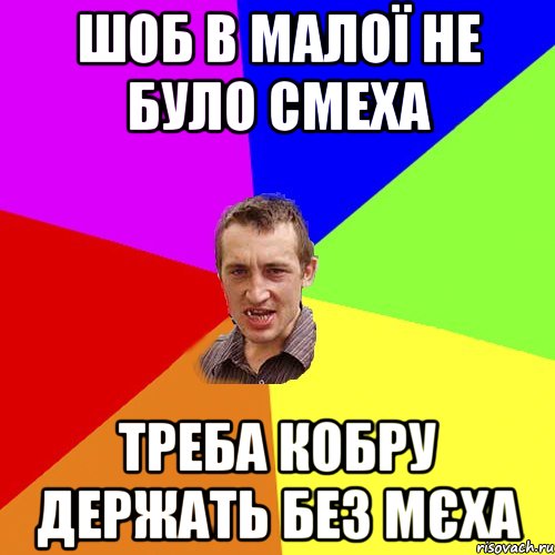 Шоб в малої не було смеха треба кобру держать без мєха, Мем Чоткий паца