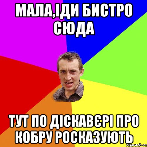 МАЛА,ІДИ БИСТРО СЮДА ТУТ ПО ДІСКАВЄРІ ПРО КОБРУ РОСКАЗУЮТЬ, Мем Чоткий паца