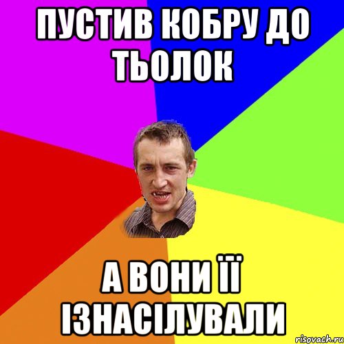 Пустив кобру до тьолок а вони її ізнасілували, Мем Чоткий паца