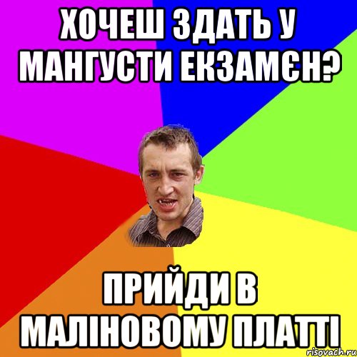 ХОЧЕШ ЗДАТЬ У МАНГУСТИ ЕКЗАМЄН? ПРИЙДИ В МАЛІНОВОМУ ПЛАТТІ, Мем Чоткий паца