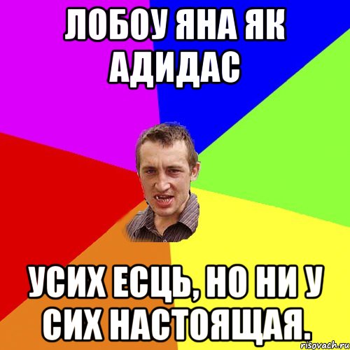 Лобоу яна як Адидас Усих есць, но ни у сих настоящая., Мем Чоткий паца