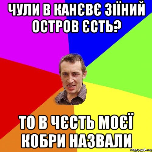 Чули в Канєвє зіїний остров єсть? то в чєсть моєї кобри назвали, Мем Чоткий паца