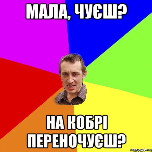 мала, чуєш? на кобрі переночуєш?, Мем Чоткий паца