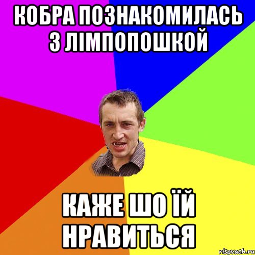 Кобра познакомилась з лімпопошкой каже шо їй нравиться, Мем Чоткий паца