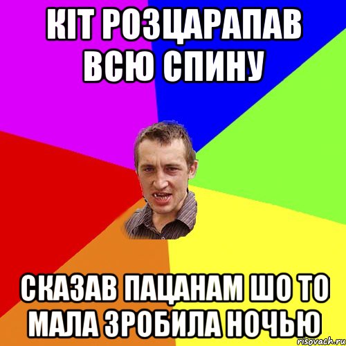 Кіт розцарапав всю спину сказав пацанам шо то мала зробила ночью