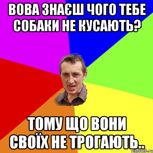 Вова знаєш чого тебе собаки не кусають? Тому що вони своїх не трогають.., Мем Чоткий паца