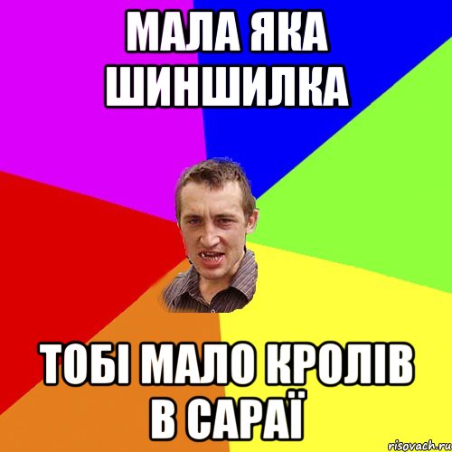 мала яка шиншилка тобі мало кролів в сараї