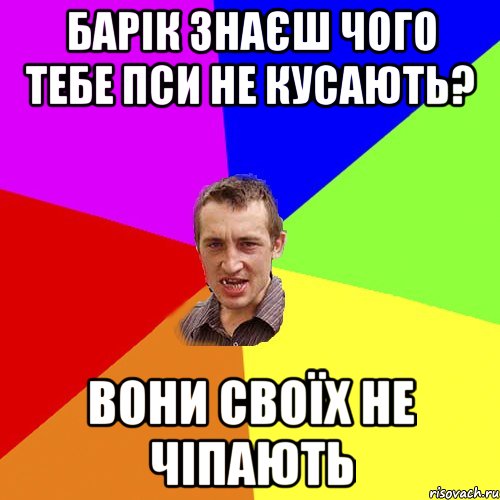 барік знаєш чого тебе пси не кусають? вони своїх не чіпають, Мем Чоткий паца