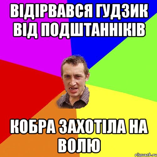 відірвався гудзик від подштанніків кобра захотіла на волю, Мем Чоткий паца