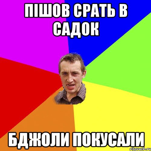 Пішов срать в садок Бджоли покусали, Мем Чоткий паца