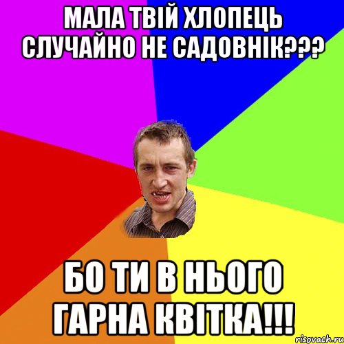 мала твій хлопець случайно не садовнік??? бо ти в нього гарна квітка!!!, Мем Чоткий паца