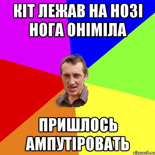 КІТ ЛЕЖАВ НА НОЗІ НОГА ОНІМІЛА ПРИШЛОСЬ АМПУТІРОВАТЬ, Мем Чоткий паца