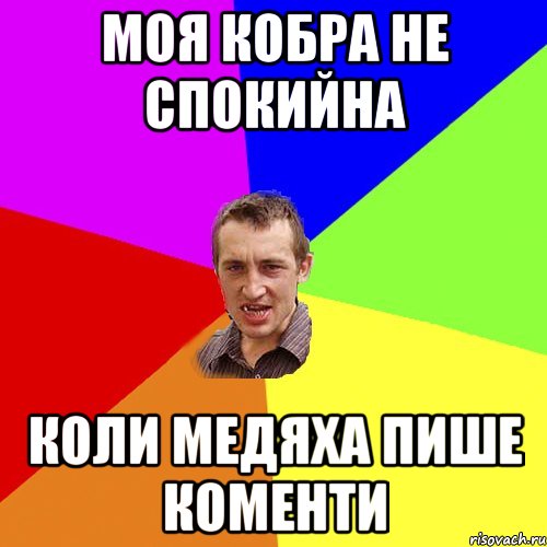 моя кобра не спокийна коли Медяха пише коменти, Мем Чоткий паца