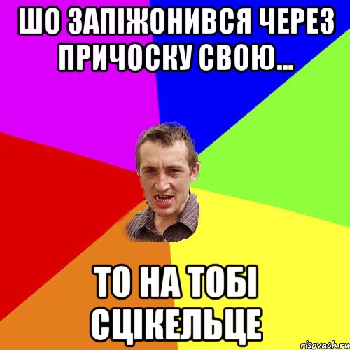 шо запіжонився через причоску свою... то на тобі сцікельце, Мем Чоткий паца