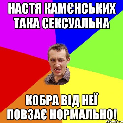 Настя камєнських така сексуальна кобра від неї повзає нормально!, Мем Чоткий паца