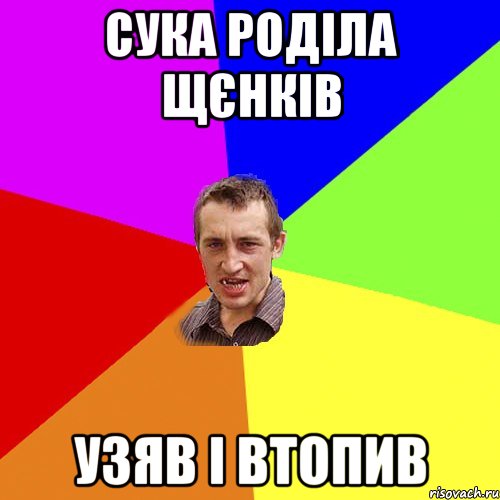 сука роділа щєнків узяв і втопив, Мем Чоткий паца