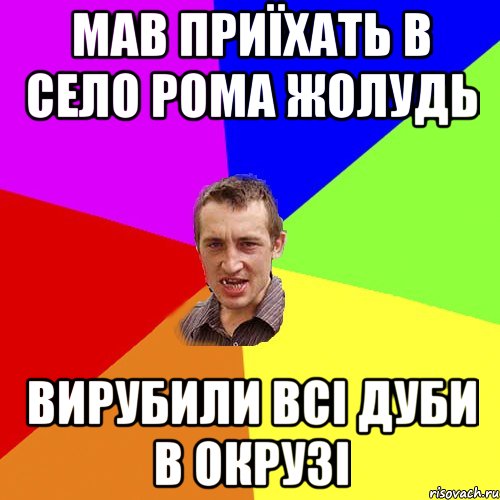 мав приїхать в село рома жолудь вирубили всі дуби в окрузі, Мем Чоткий паца