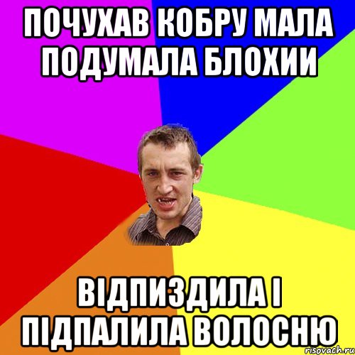 Почухав кобру мала подумала блохии Відпиздила і підпалила волосню, Мем Чоткий паца