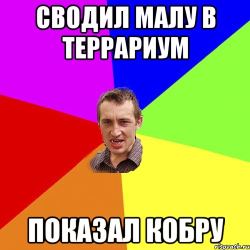 Сводил малу в террариум Показал кобру, Мем Чоткий паца