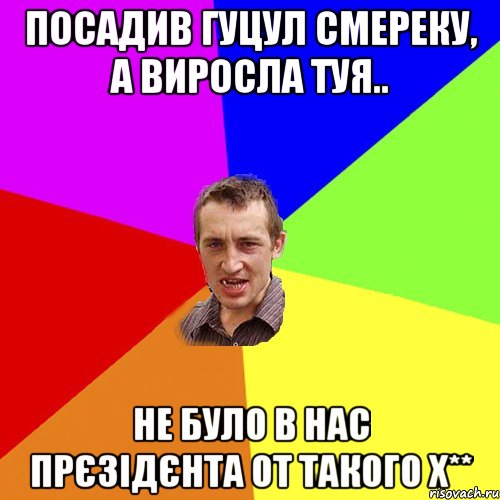 Посадив гуцул смереку, а виросла туя.. не було в нас прєзідєнта от такого х**, Мем Чоткий паца