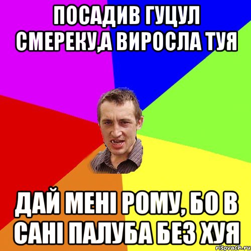 посадив гуцул смереку,а виросла туя Дай мені рому, бо в сані палуба без хуя, Мем Чоткий паца