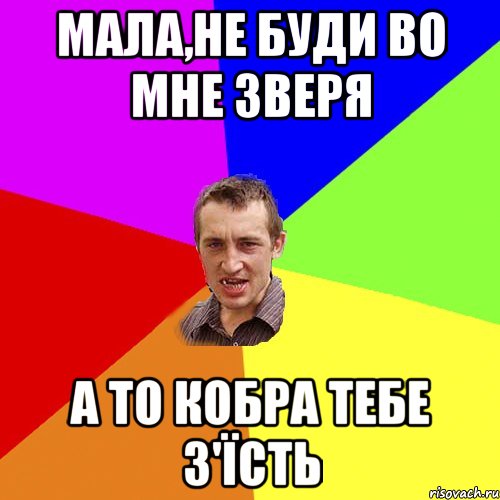 Мала,не буди во мне зверя А то кобра тебе з'їсть, Мем Чоткий паца