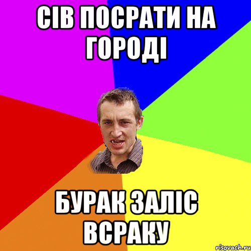 Сів посрати на городі бурак заліс всраку, Мем Чоткий паца