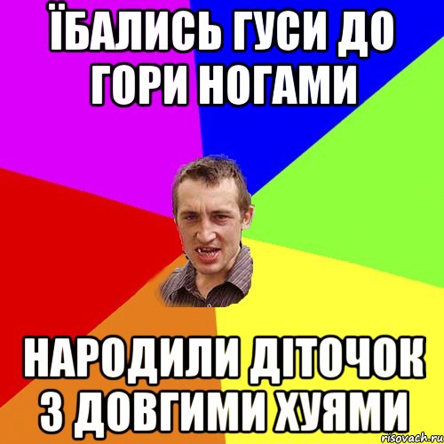 Їбались гуси до гори ногами народили діточок з довгими хуями, Мем Чоткий паца