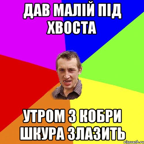 Дав малій під хвоста Утром з кобри шкура злазить, Мем Чоткий паца