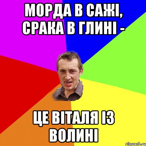 Морда в сажі, срака в глині - це Віталя із волині, Мем Чоткий паца