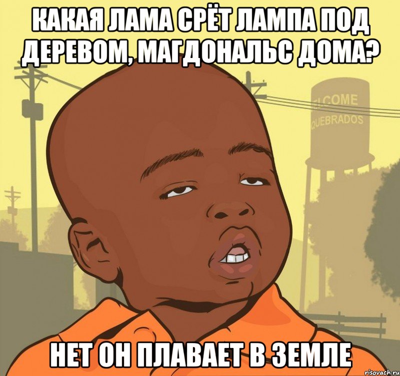 Какая лама срёт лампа под деревом, магдональс дома? Нет он плавает в земле, Мем Пацан наркоман
