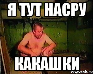 я тут насру какашки