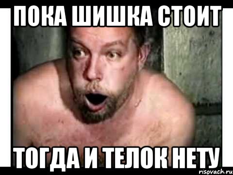 пока шишка стоит тогда и телок нету