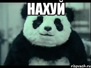 НАХУЙ 