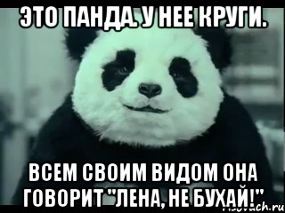 Это панда. У нее круги. Всем своим видом она говорит "Лена, не бухай!", Мем Не отказывай панде