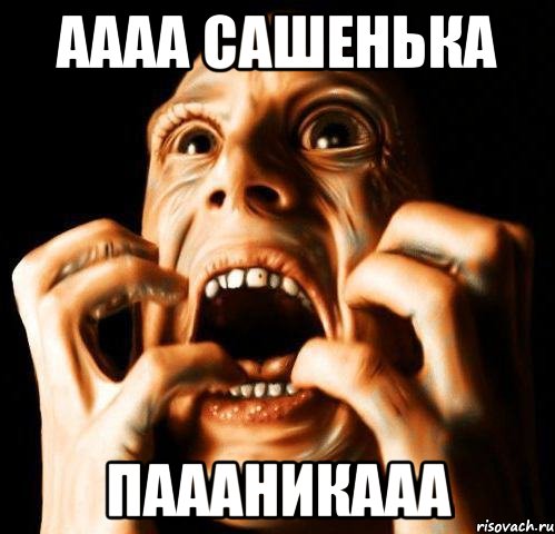 аааа Сашенька Паааникааа, Мем Паника