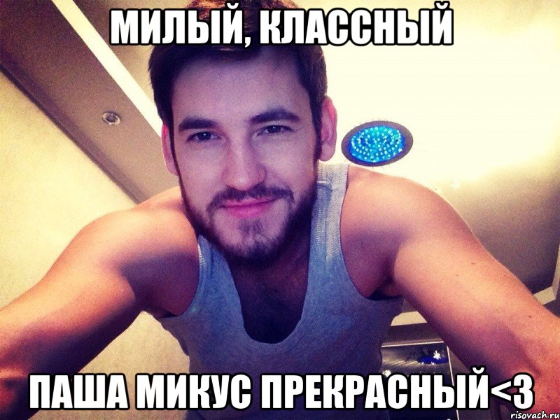 милый, классный Паша Микус прекрасный<3